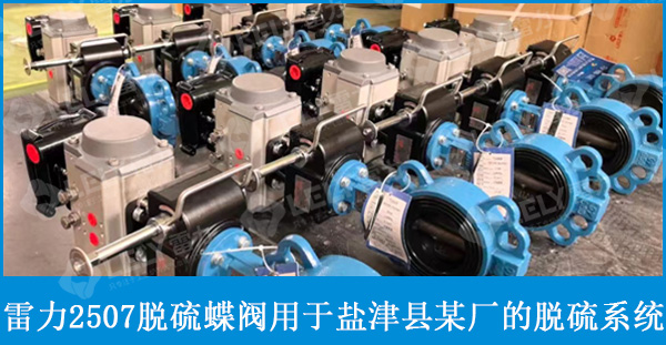 雷力2507脫硫蝶閥用于鹽津縣年產(chǎn)十五萬噸工業(yè)硅項(xiàng)目脫硫系統(tǒng)