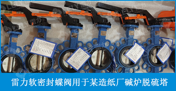 雷力軟密封蝶閥用于某造紙廠(chǎng)堿爐脫硫塔、濕電焚燒爐堿洗塔系統(tǒng)